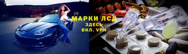 хмурый Дмитров