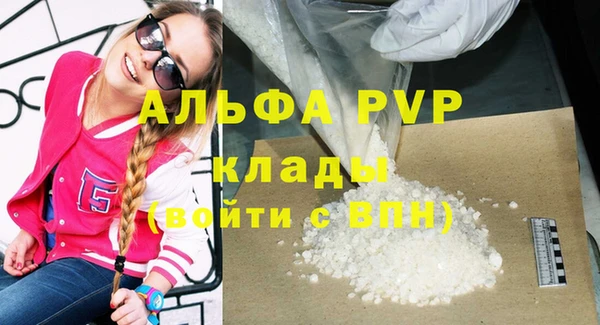 хмурый Дмитров